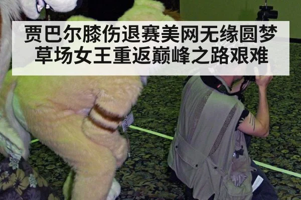 贾巴尔膝伤退赛美网无缘圆梦 草场女王重返巅峰之路艰难